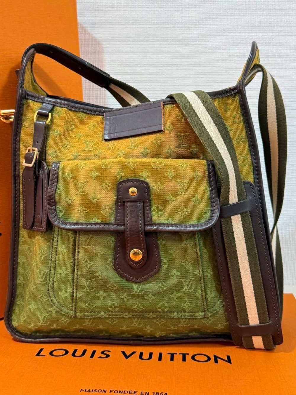 Louis Vuitton Green Ombre Shoulder Bag with Front Pocket and Brown Trim - Picture 4 of 12